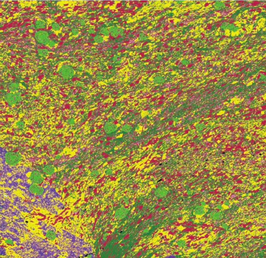 Mapa mineral classificado